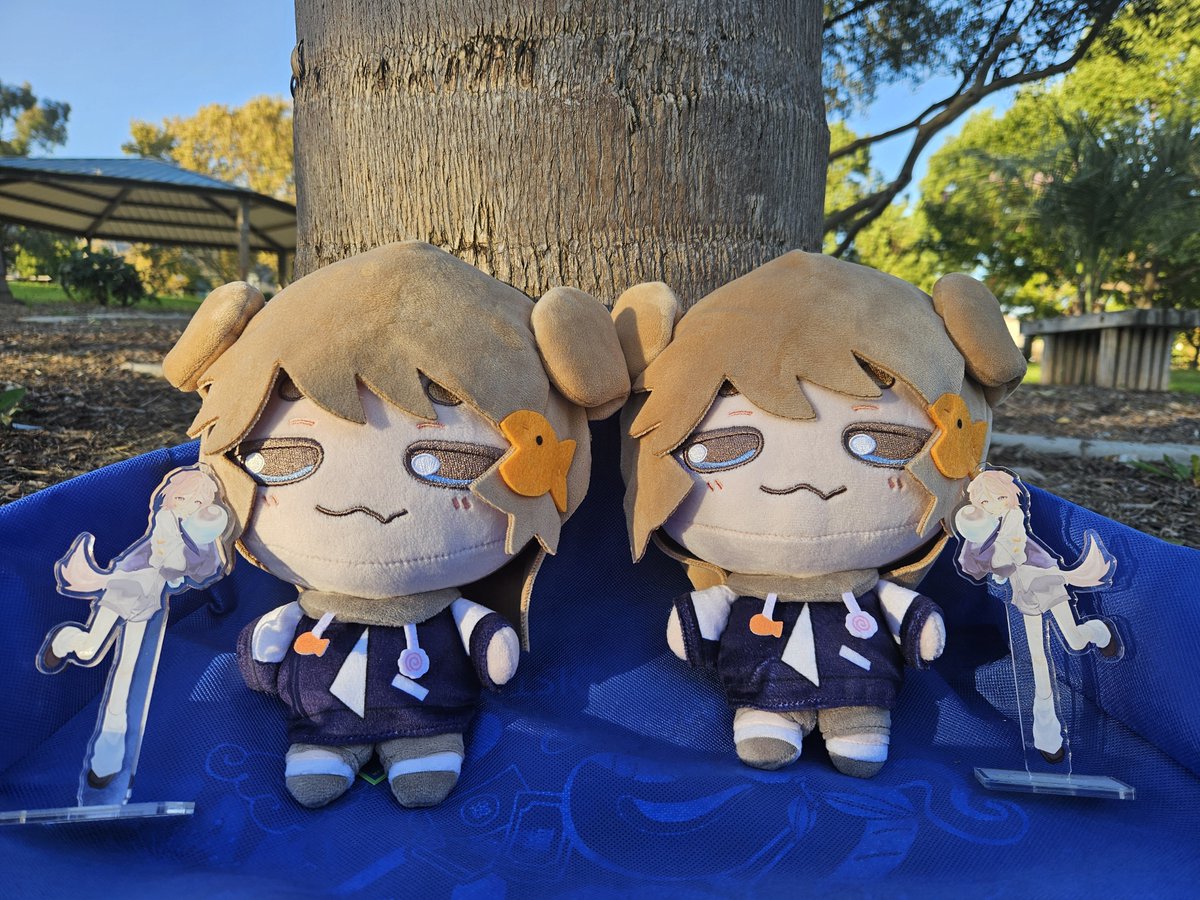 RitaMordioBae's tweet photo. My dawgs have arrived... la creaturas are multiplying...

But really, I'm so happy the plushies are finally real !! They're SOOOO cute in-person and I can't wait to take Miso on super fun adventures !!! YAAAAAAAAAY 💙🐟
#misoplush https://t.co/6q77chl4bj