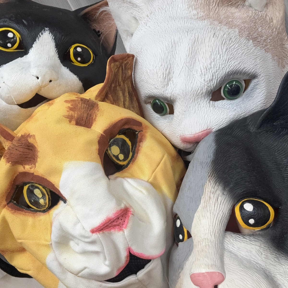 nukko_sun's tweet photo. よっ🐾

#ヌッコさん

見失ってたでしょ。
だってねこだもん。 https://t.co/DmmmRa9I8X