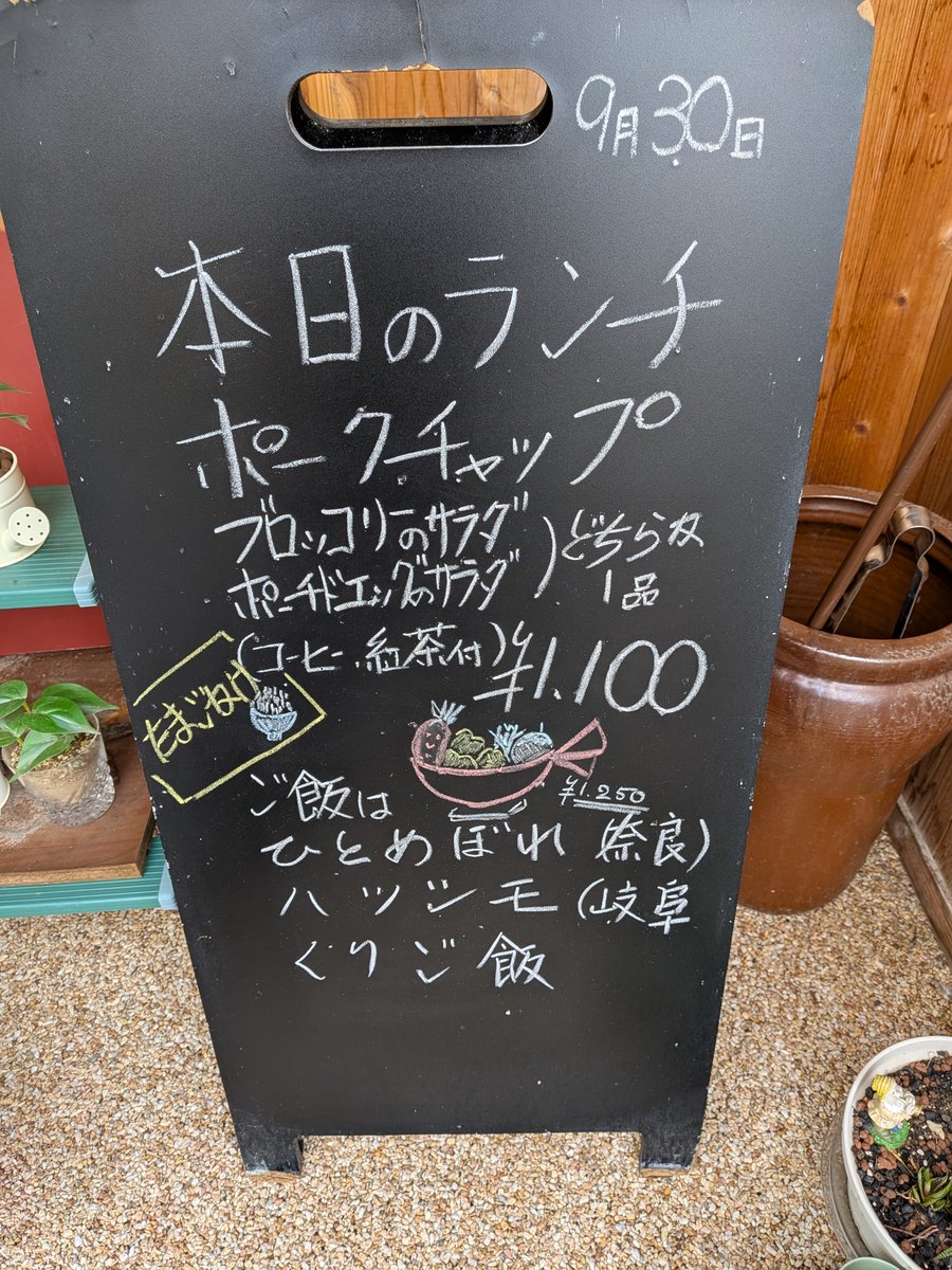 gohancafemi's tweet photo. 昨日に続き人気の栗ご飯をもう一度…店前のコキアもあかくなってきましたぁ https://t.co/KxZYpfAb7A