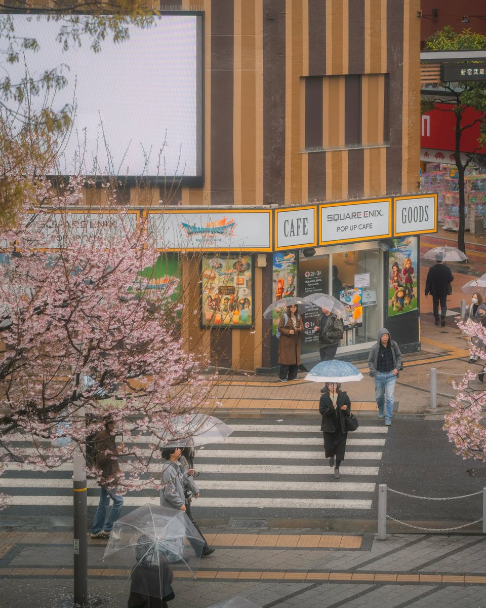 flower6260's tweet photo. Rainy Japan https://t.co/cRHly9lEy8