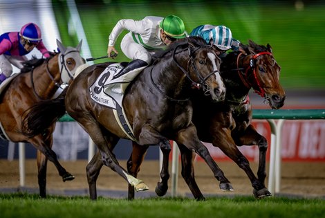 Rura0_0Ruler's tweet photo. That one was more of a sincere loss, though, given it was Romantic Warrior's first ever start on dirt against an already tested and undoubtedly strong Forever Young.
Ask about the 2025 Dubai Turf instead. https://t.co/pBMOPkK7N4