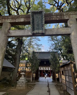 kaede0623love's tweet photo. 東京大神宮と並ぶくらい、赤坂氷川神社もおすすめ。
恋愛も人間関係も整えたいときに行くと、私はちゃんと変化を感じられるから、普段から1人でふらっと立ち寄るほどお気に入りの神社。都心なのに境内は驚くほど静かで、樹齢400年ともいわれる大イチョウの下に立つと、ざわついた気持ちがフゥ-とリセットされて落ち着けるのが好き。
おみくじの種類も多いし、夜はライトアップされて雰囲気も抜群。
