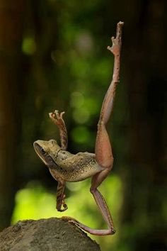 AgathaChocolats's tweet photo. In six words or fewer, write a story about this photo.
#sixwordstory #WritingCommunity https://t.co/BYG7Ez6nhI