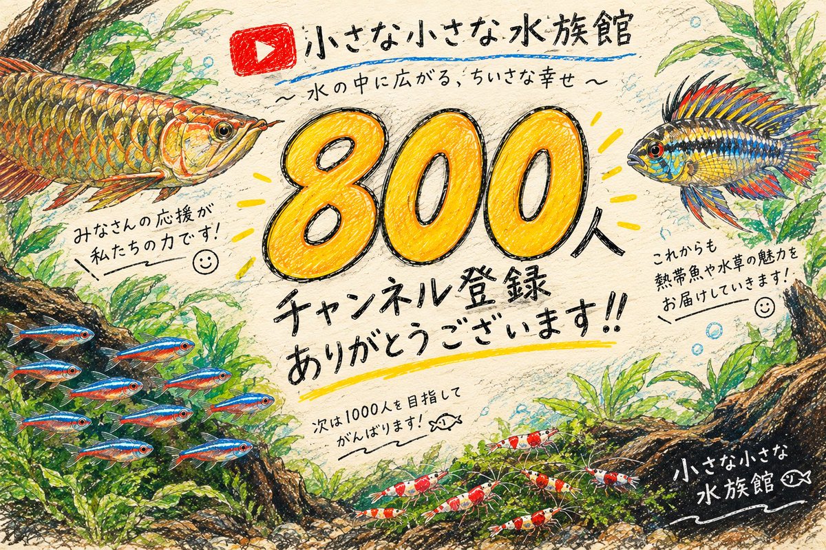 smallx2aquarium's tweet photo. 🎉【チャンネル登録者800人突破】🎉
本当にありがとうございます！！
「小さな小さな水族館」を見つけてくださったこと、応援してくださること、ひとつひとつが大きな励みになっています。
皆さまのおかげで800人まで来ることができました😭
次は900人へ！
これからも水の中の小さな幸せをお届けします https://t.co/p73SoYQLQB