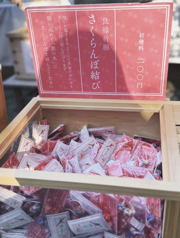 kaede0623love's tweet photo. 東京大神宮と並ぶくらい、赤坂氷川神社もおすすめ。
恋愛も人間関係も整えたいときに行くと、私はちゃんと変化を感じられるから、普段から1人でふらっと立ち寄るほどお気に入りの神社。都心なのに境内は驚くほど静かで、樹齢400年ともいわれる大イチョウの下に立つと、ざわついた気持ちがフゥ-とリセットされて落ち着けるのが好き。
おみくじの種類も多いし、夜はライトアップされて雰囲気も抜群。