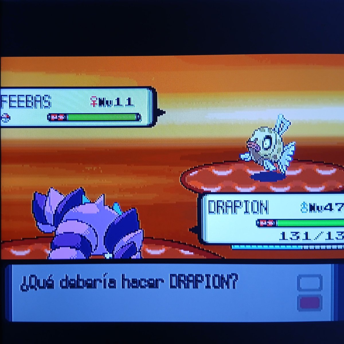 PKMMoments's tweet photo. Uno de los mejores momentos en una partida de Pokémon Perla 🤩
#Feebas
#pokemonperla
#pokemon https://t.co/bdy4Dj9ERh