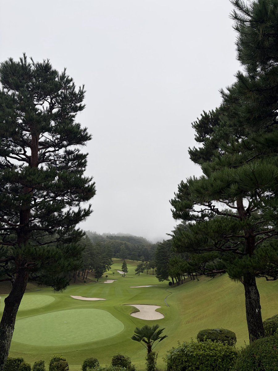 chi_bebe_chi's tweet photo. 驚くごとに8年ぶりのゴルフコースです。
練習しても全く当たらなかったので散歩のついでに球を打つくらいの気持ちが吉。
まぁ先月もやってよーが8年やってなかろーがスコアはそんなに大差ないでしょう…。
目標はずばり
『怪我しないで終える』
です。
ゴルフバックが加水分解してぼろぼろ。
かなし。 https://t.co/1IeaEG2rJR
