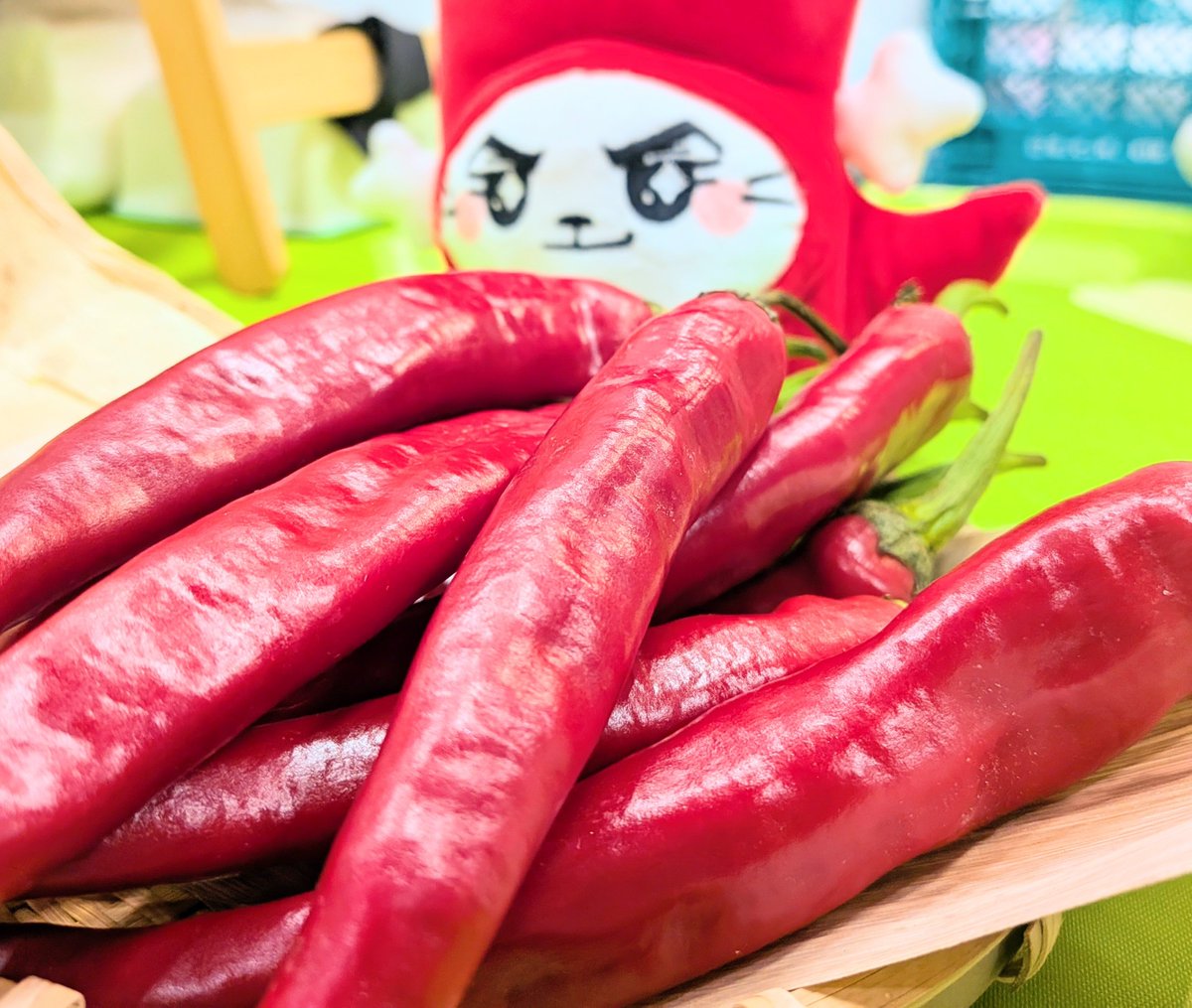 akimoto_foods's tweet photo. おはだいこん！
本日から3日間、フードスタイルジャパンに出展しております🫶🌶️
キムチスープのご試食実施中です🍲

食品業界のみなさま、お待ちしております🙇🏻‍♀️ https://t.co/HnBwP9N79D