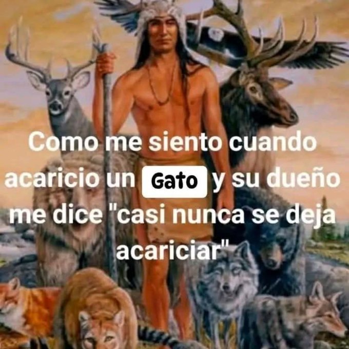 bjs_alejo2's tweet photo. https://t.co/KZovKJ901Z