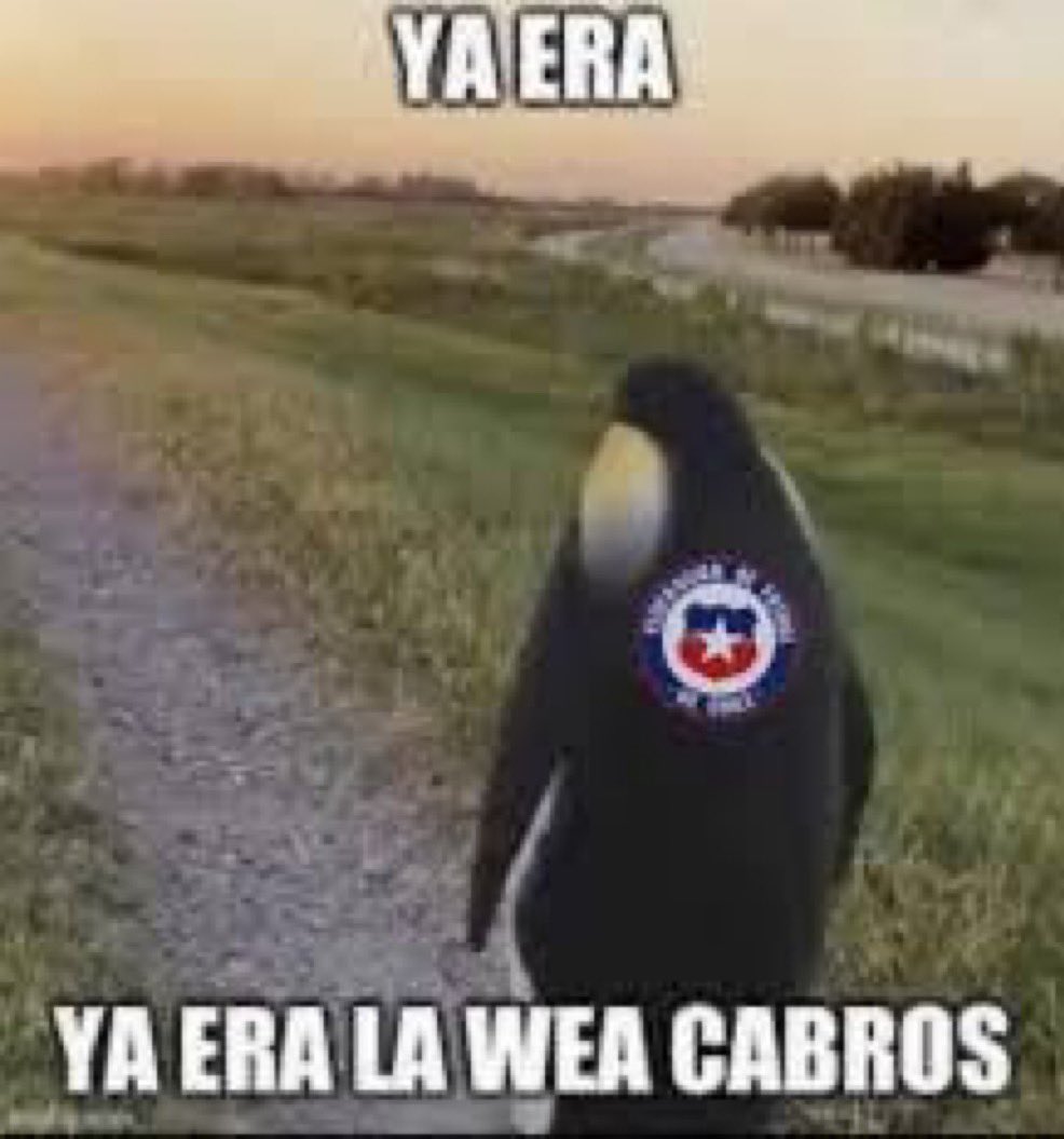 0Lavender000's tweet photo. #LaRoja https://t.co/09A1IewK3l