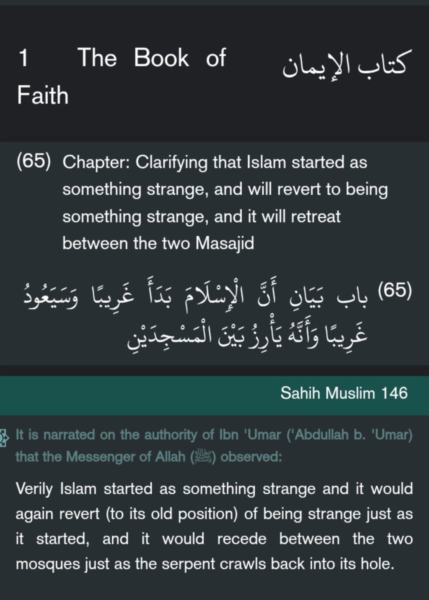 singlenstr8's tweet photo. You mean to say PROFIT Ho Mo MoMo 🏳️‍🌈 was a LIAR?

Or DELUSIONAL? 

Talk of a BLACK MUGU Made by AL LAH for JAHANNAM - Mishkat Al Masabih 119.

But, MUGU are idiots who think the whole world is Foolish 🤣 https://t.co/7OT3bZayx2