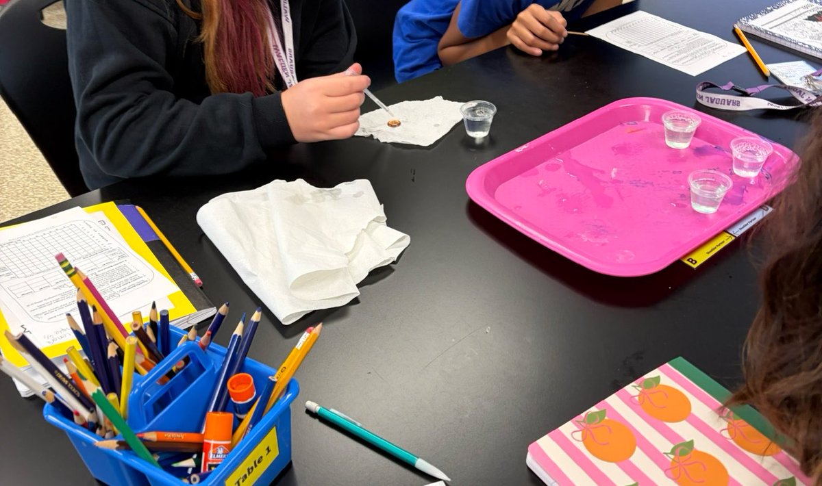 MsSinKC's tweet photo. My 6th grade scientists will soon begin learning about body systems, which means we have several labs coming up! Some of these need random things like crackers, pantyhose, and coffee filters! Can you help #clearthelist? 

https://t.co/9zsAKHYaFV https://t.co/Z3DRldiTvB