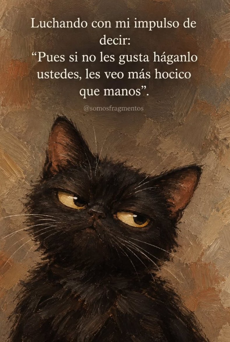 nomadaestelar's tweet photo. 🤷🏻 https://t.co/NkO59zWeDY