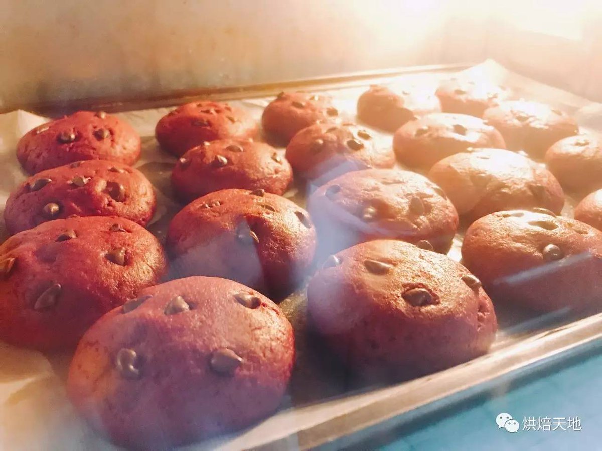JuleneSenkgcpm's tweet photo. Just pulled these warm chocolate chip cookies fresh from the oven—crunchy edges, gooey centers, and the whole kitchen smells like heaven  Baking small joys one tray at a time!， https://t.co/9fB3MyDcV4