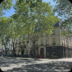 Jeonys26's tweet photo. 오~ 날씨 대박ㅎㅎ 비행 순조롭길!😽🩵💕

 YOON SIK PARIS FASHION WEEK

#KIMYOONSIKPFWSS27
#YOONSIKINPARIS https://t.co/eZ4OJJtUZQ