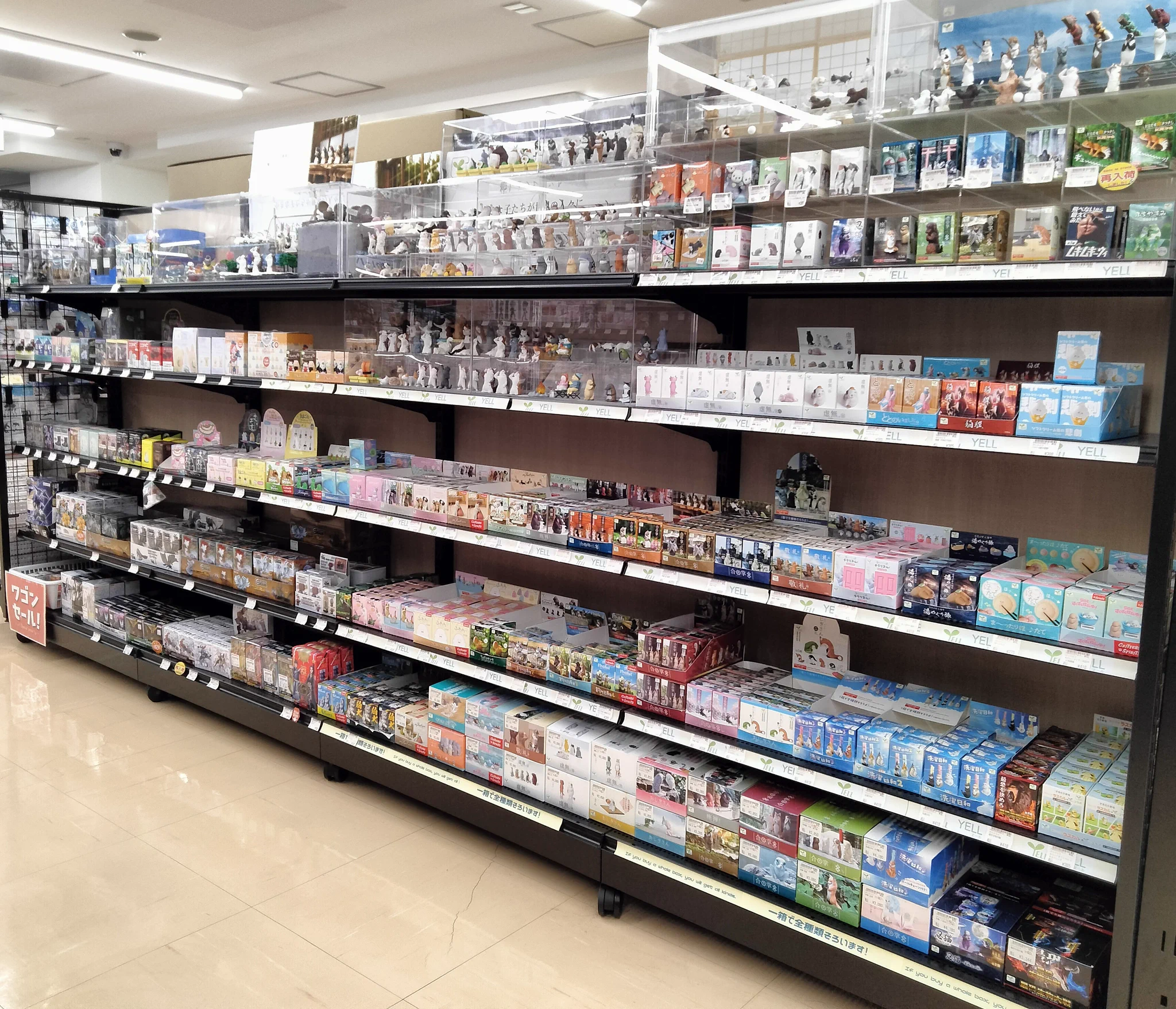 ホビーのシーガル仙台駅前店 on X: 