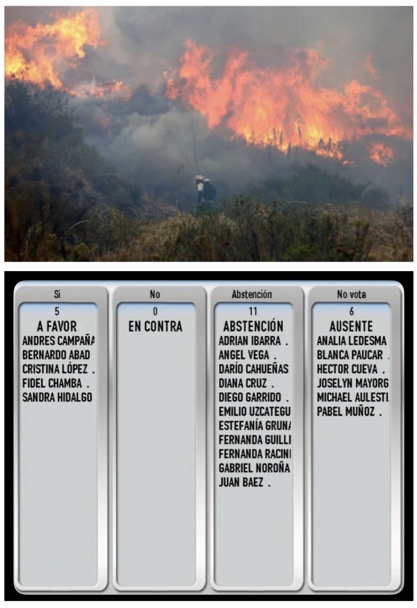 E_Najas's tweet photo. 5 a favor. 0 en contra. 11 abstenciones.
Al Concejo no se le pidió reformar el COIP. Se le pidió que Quito se pronunciara y exigiera a la Asamblea revisar las penas por incendios forestales. Hace ocho días el Municipio pedía el “máximo rigor de la pena”.
Once concejales se abstuvieron.
La reforma ya está en la Asamblea. Ahora toca ver con qué velocidad la tramita. Las competencias son distintas, pero lo urgente debería tratarse como urgente.
