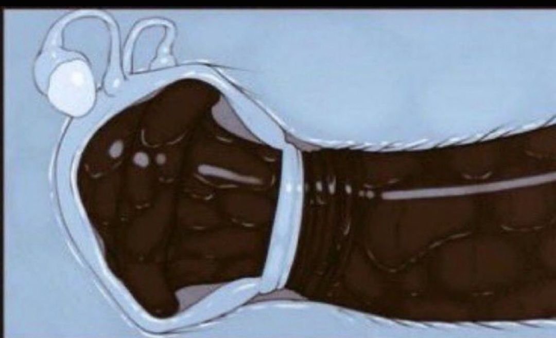 BBC_m0coso's tweet photo. El negrito ofrece un servicio de fecundacion para aquellas mujeres y parejas que desean ser padres y no pueden por lo pequeños que son sus esposos, aquellos que les interese, vengan a DM 😈😈🍼✊🏿 https://t.co/8i2UfPSJdF