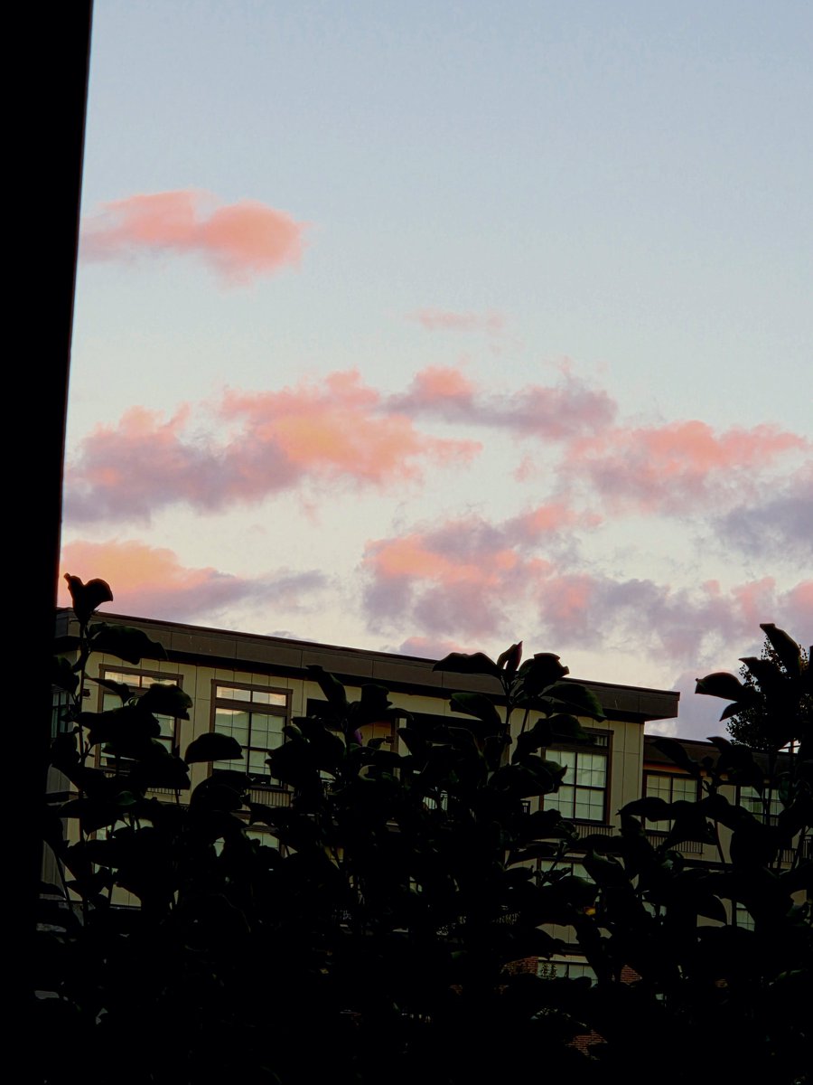 SabsTheSwiftie's tweet photo. pink clouding ☁️🩷
@taylornation13 @taylorswift13 
#pinkclouding #taylorswift #tloas #encore https://t.co/rHjSQikXla