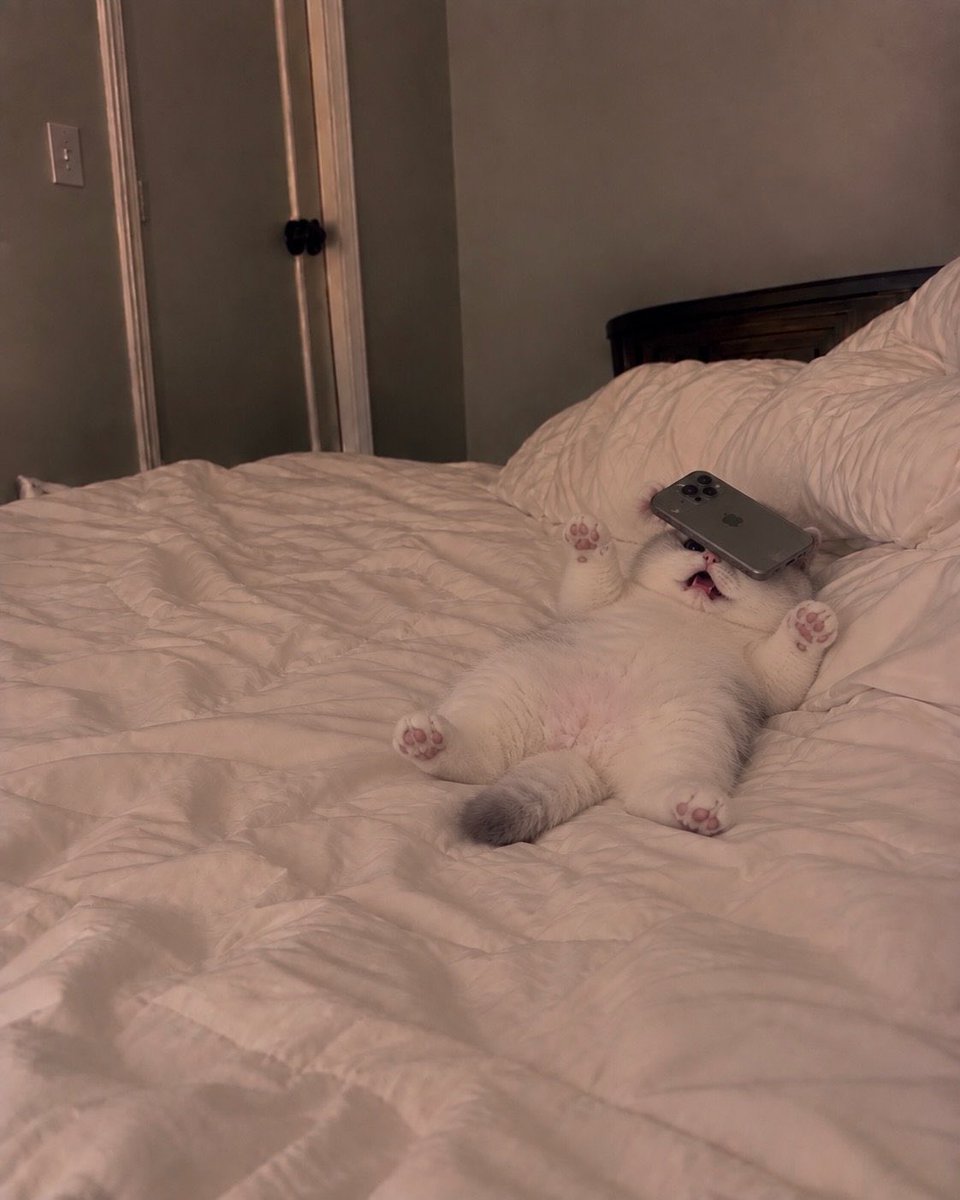 MapanchitoVII's tweet photo. Yo cada que me suspenden 🥺 https://t.co/50WtF468Og