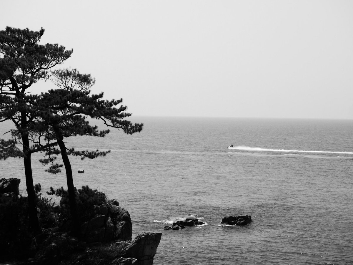 Ygch19X's tweet photo. #monochrome 
#モノクロ  
#photography https://t.co/epF4gx32vR