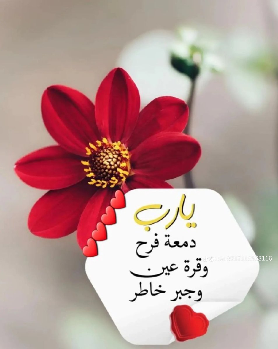mnool__'s tweet photo. حصل خير ..
وسيحصل خير..

#ثم 

ربُ الخير لا يأتي إلا بالخير ..✨
و صباحكم خير ..

#صباح_الخيـر 
#السعوديه_العظمى 
#الرياض_الآن https://t.co/vrSmQTrw82