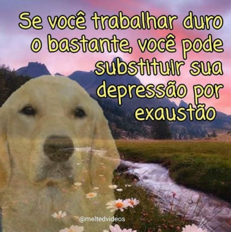 shitpostverdade's tweet photo. https://t.co/FTmraE2gsG