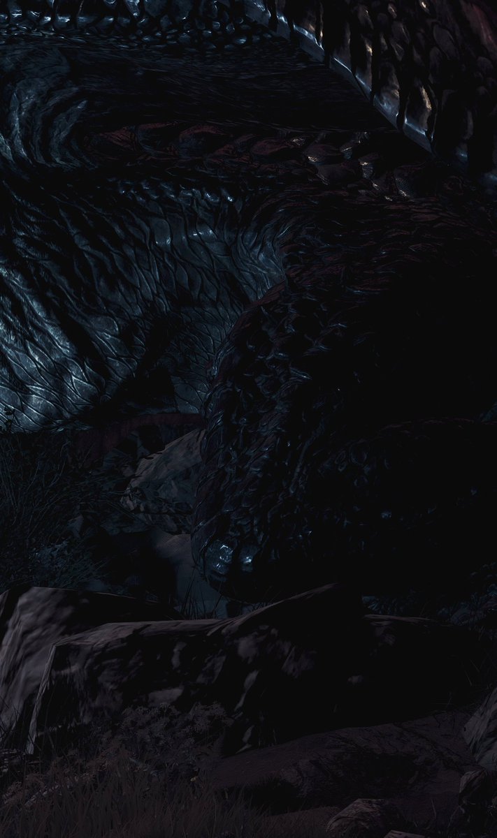nirva1801571's tweet photo. #DragonsDogma2
#DD2今月のとっておきSS https://t.co/jJqzUuHIzE