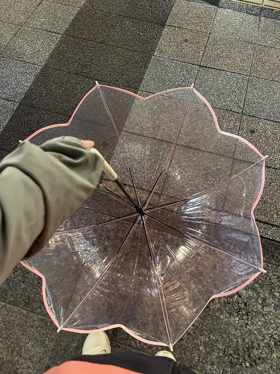 francis_373's tweet photo. 昨日の夜、急な雨に降られてダイソーで適当に買った傘。お店出て開いたら、すごいラブリーな傘で笑ってしまった🌸 https://t.co/UMZUeZt0dS