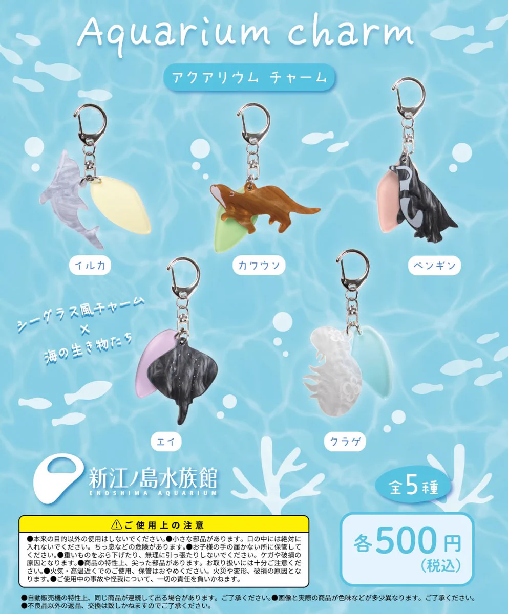 新江ノ島水族館 on X: 