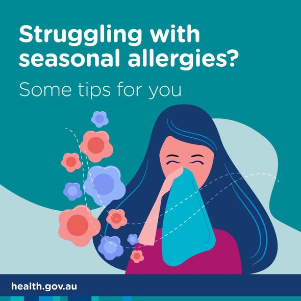 healthgovau's tweet photo. Are spring allergies making you sneeze? Hay fever is an allergic reaction to pollens. In some cases, allergies can lead to asthma.

To help manage symptoms:
🔹 stay away from triggers
🔹 stay indoors on windy days
🔹 keep doors &amp; windows closed.

💻 https://t.co/W2nnvtJrza https://t.co/ANoz4q4Oma
