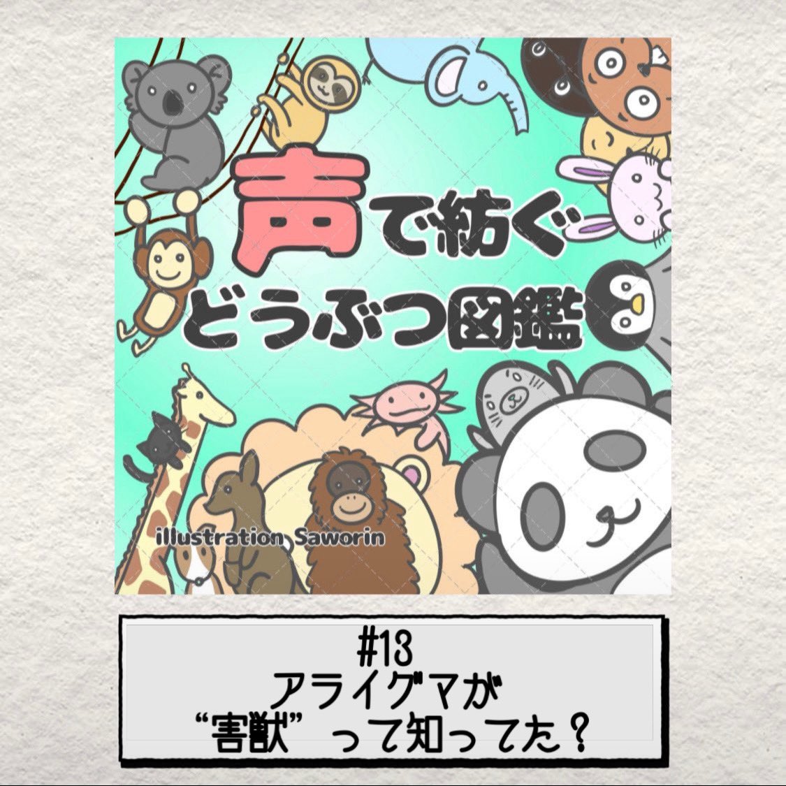ee836f's tweet photo. 【声で紡ぐどうぶつ図鑑】🐼🔖
#13「アライグマが"
外来生物"って知ってた？」 

・StandFM 
https://t.co/LLEi7AYN0p

・YouTube
https://t.co/npr672NyVb

番組へのおたより、ご感想は
#声zoo でどしどしポスト
お待ちしております！ https://t.co/GF3gcv8tRg