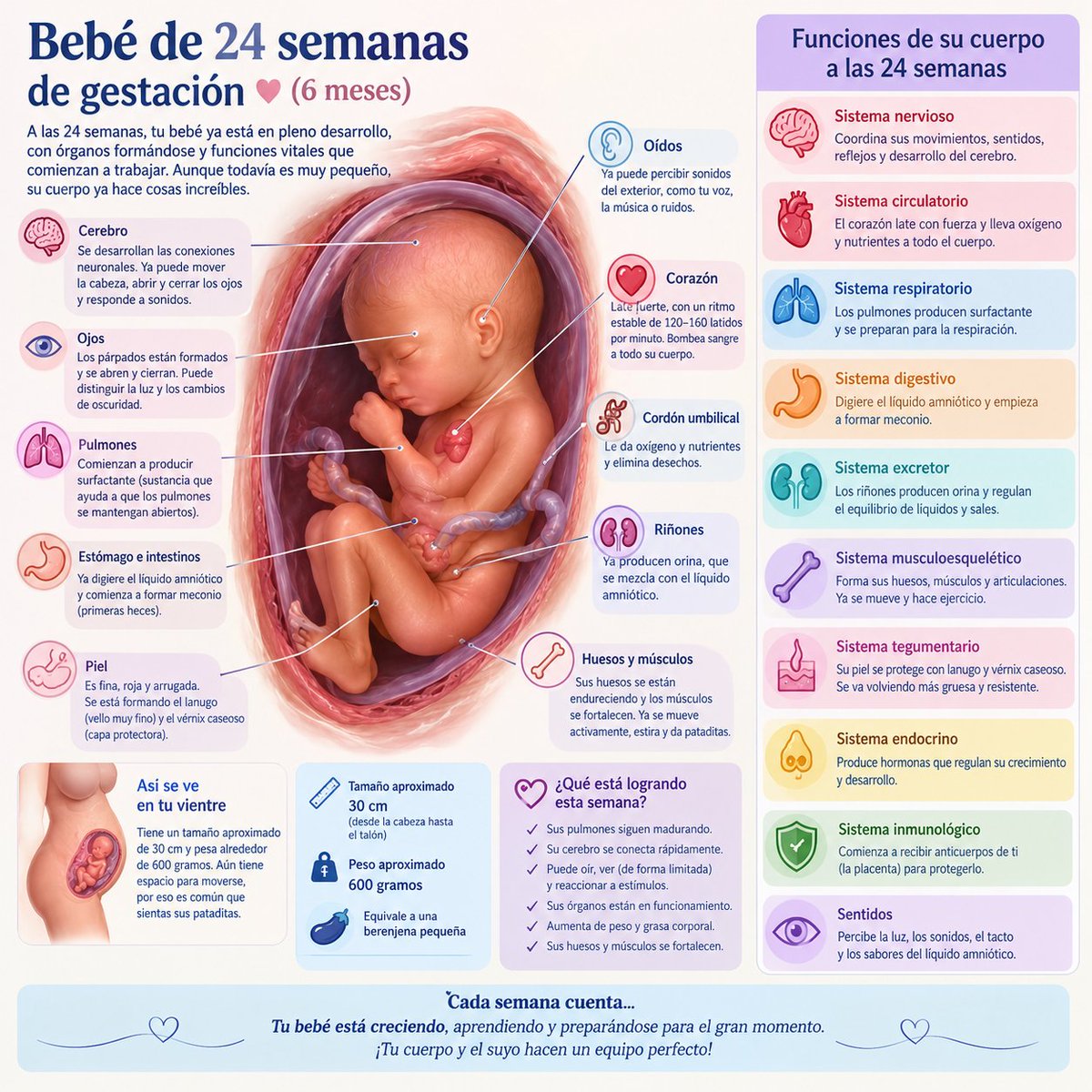 MelissaSerranoF's tweet photo. Aquí les dejo a la personita de 24 semanas en el vientre materno que quieren ASESINAR y no se puede defender. 
#SILAvida 🩵🥹🫶🏻 https://t.co/nsZ5cfYaWV