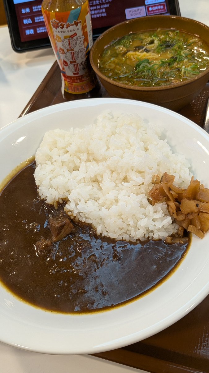 illust_assu's tweet photo. すき家でビーフカレーでたというので

子供向けカレーはそのままで
大人向けカレーは期間限定なのかな？？

美味しいかはさておき
ビーフカレーの方を残して欲しいなー https://t.co/AswHPfFNGP
