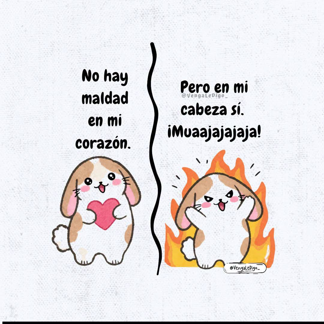 ile0719's tweet photo. Yo con  🐕🐈🐦/ yo con 🧑🏻👤👥 https://t.co/zHI3uLAfjZ