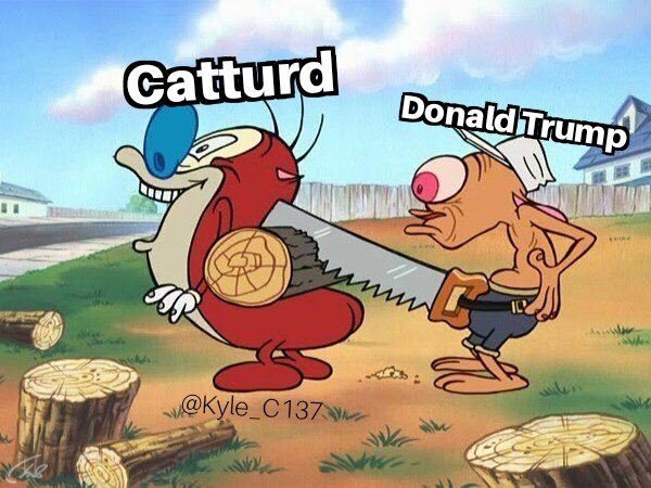 Kyle_C137's tweet photo. Gotta throw out a random catturd posting every once in a while. He's got me blocked or id post this in his comments. https://t.co/6XSuCmJPvq