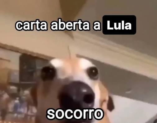 mangomisionero's tweet photo. https://t.co/s951elmqrx