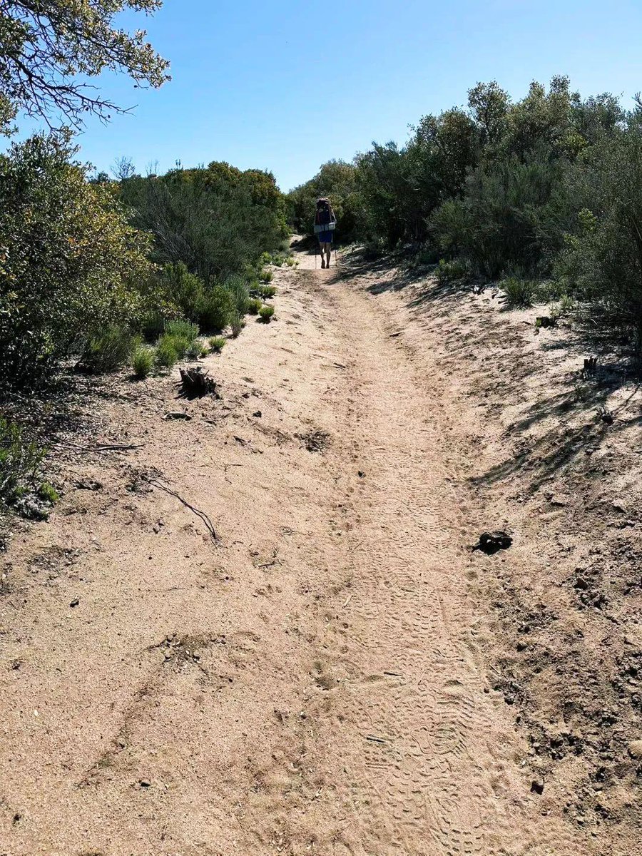 VyRGvt09SWnEAMR's tweet photo. [Winding path stands firm amid dry, withered land—every step here is a silent tale of perseverance.]， https://t.co/RpHz2FKliO