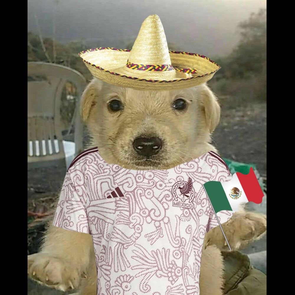 Triciaa_x's tweet photo. Aún hay fé en los muchachones https://t.co/e1CVmOWjdX