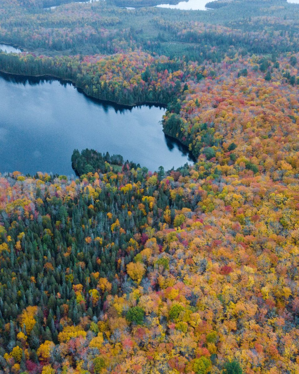 PureMichigan's tweet photo. Stunning Michigan fall landscapes to soothe the soul. 

📍 Arfelin Lake
📍 Champion
📍 Republic
📍 Wolf Lake Road
📸 IG fan ianaltobello
🗓️ Images from past fall seasons #PureMichigan20 https://t.co/HklDdLnBMu