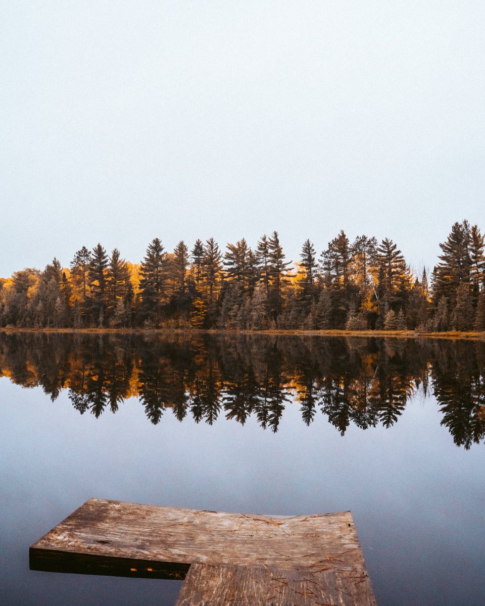 PureMichigan's tweet photo. Stunning Michigan fall landscapes to soothe the soul. 

📍 Arfelin Lake
📍 Champion
📍 Republic
📍 Wolf Lake Road
📸 IG fan ianaltobello
🗓️ Images from past fall seasons #PureMichigan20 https://t.co/HklDdLnBMu
