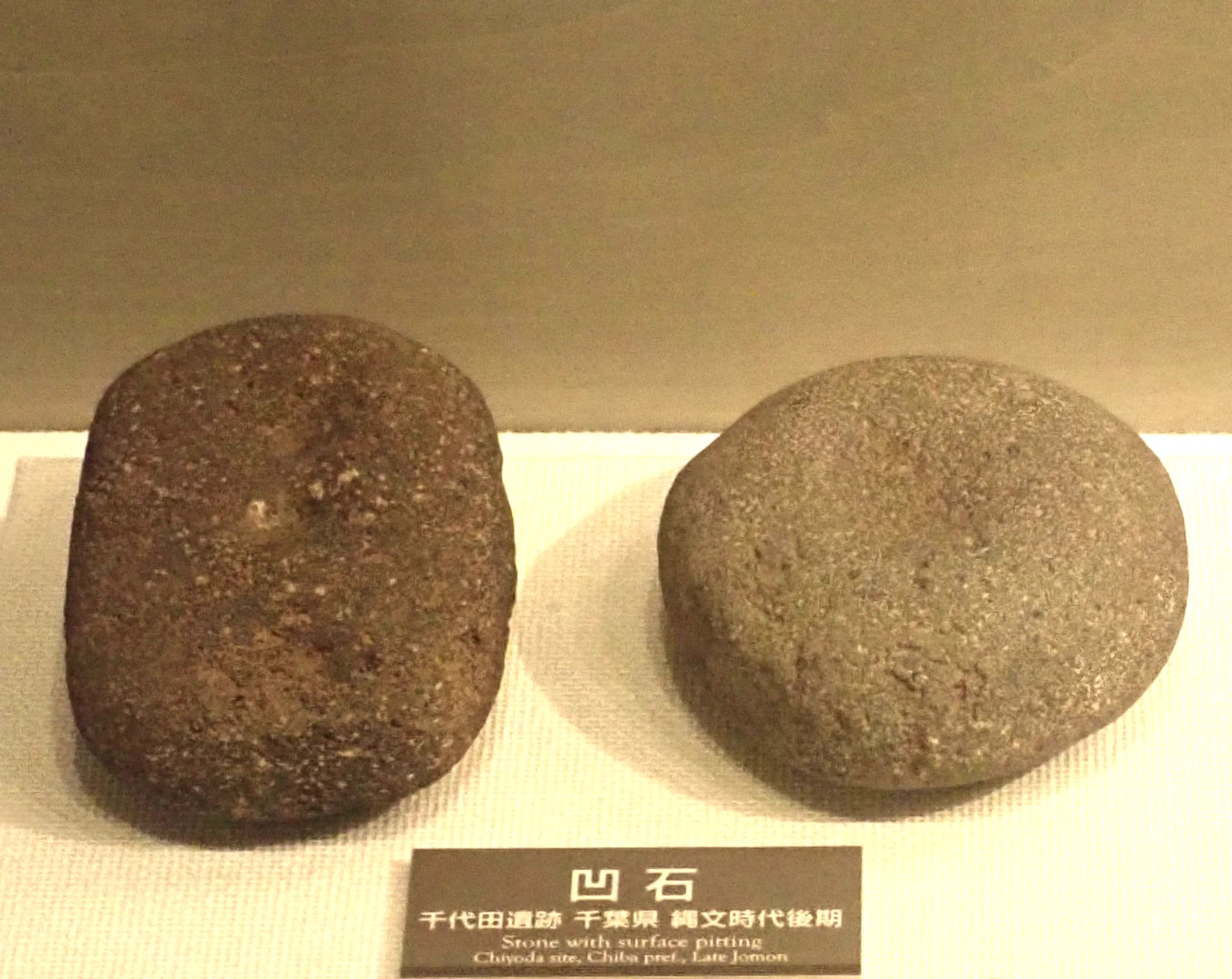 明治大学博物館（Meiji University Museum） on X: 