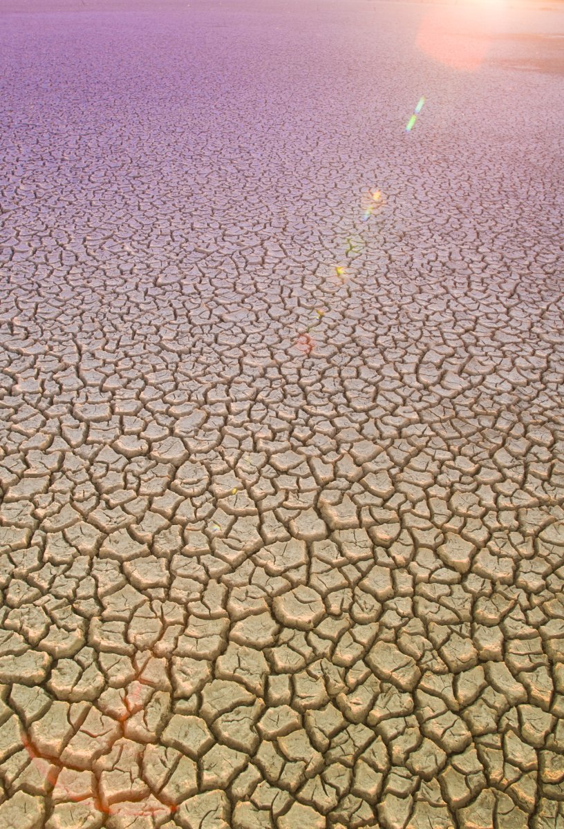 licoriconi's tweet photo. A desolate and impoverished corner with parched land and a wan, sickly vibe lingers here.， https://t.co/qKYbKdrEuQ