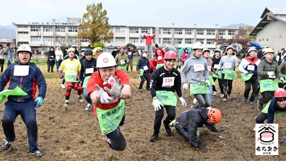 oidemase_info's tweet photo. ＼山口県はもちまき県!?／
山口県では、お祭りやイベントの目玉として"もちまき"が、県内各地で盛んに行われています！
その熱さは、県外の方が見たらきっと驚くはず😳
山口のもちまきはとにかく熱く、大人も子供も本気で参加します💪

🍡約23kgの餅をひろう「餅ひろい世界選手権」
🍡約1万3,000個がまかれる「紅白餅合戦」
🍡雨の日や暑い日でも楽しめる「もちまきテラス」
など、山口県ならではのユニークなイベントやスポットも！
さらに餅だけではなく、小銭やお菓子、"ふくだるま"がまかれることも！

もともとは上棟式で厄除けのために行われていた神事といわれるもちまきですが、今も山口県では身近な文化として受け継がれ、イベントの主役となっています👀

みなさんは、もちまきに参加したことはありますか？
思い出やエピソードがあれば、ぜひ【コメント】で教えてください💬

知れば驚く、山口県の“もちまき文化”。
もちまきの心得や拾い方のコツなど、詳しくはリプライ欄の記事でご紹介しています👇