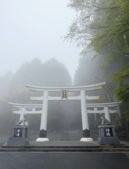 kaede0623love's tweet photo. 埼玉県・秩父の三峯神社。
その鳥居を待ち受けにしていた知人の人生が、本当に激変したの。
特別にお写真をいただけたので、ここでシェアするね。

恋愛も金運も、思い描いていた方向へぐんぐん進み始めたんだって。本当にすごい。 https://t.co/mvtGlPoci3