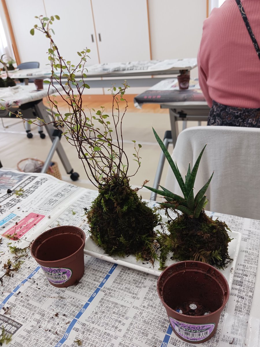 2357fhaik's tweet photo. とりあえずここまで！　次いてきます～ https://t.co/XbSi9967mD