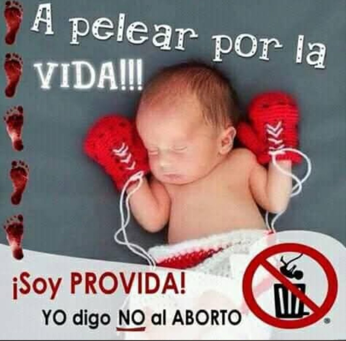 arquijairo's tweet photo. @sandra_chindoy https://t.co/jJckHiX5QV