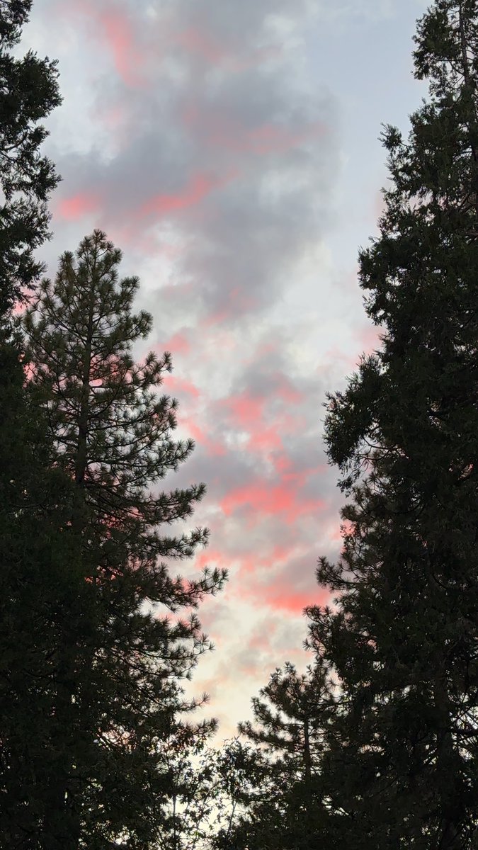 BIEBSFXCK's tweet photo. this and nobody telling me god created it. https://t.co/M36KaQvvmq