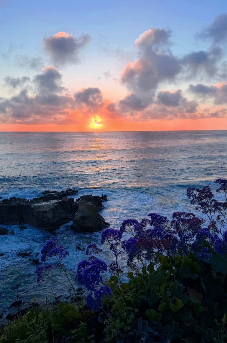 Christine238a's tweet photo. The starlight shines on all who journey, and time rewards those who are dedicated. May you have sweet dreams tonight, recharge your energy, and continue to shine brightly in your own world tomorrow. https://t.co/slT313l04Y