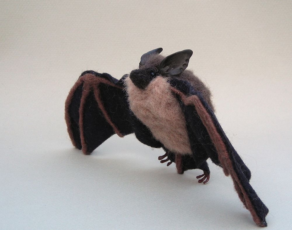 battwting's tweet photo. they turned me into a plush https://t.co/dSCXZ5QDLW